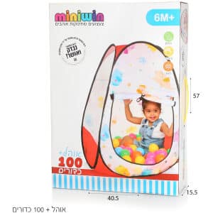 המירוץ המטורף