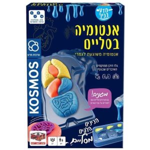 אנטומיה בסליים