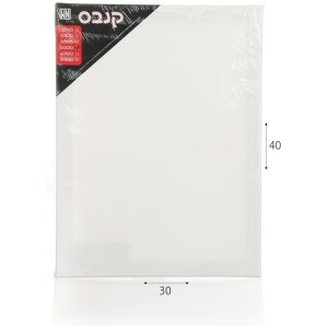 גואש ספוג זוהר